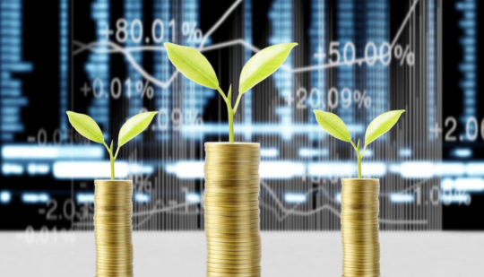 MALAWI STOCK EXCHANGE HOSTS WEBINAR ON RAISING CAPITAL THROUGH ISSUANCE OF SUSTAINABLE BOND